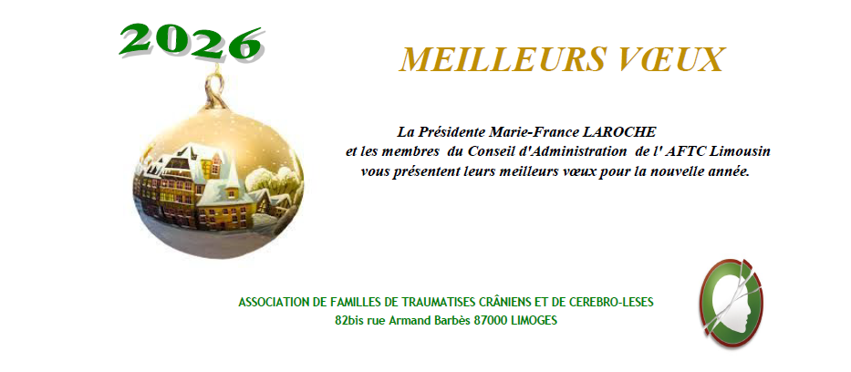 MEILLEURS VOEUX 2026